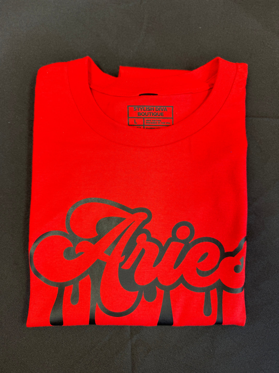 Aries Dripping T-Shirt (Black Print)