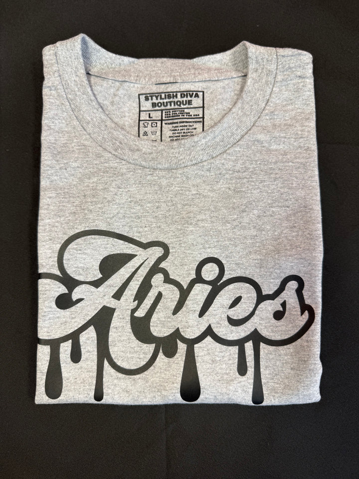 Aries Dripping T-Shirt (Black Print)