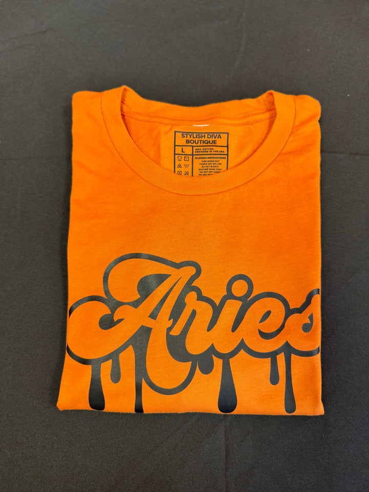 Aries Dripping T-Shirt (Black Print)