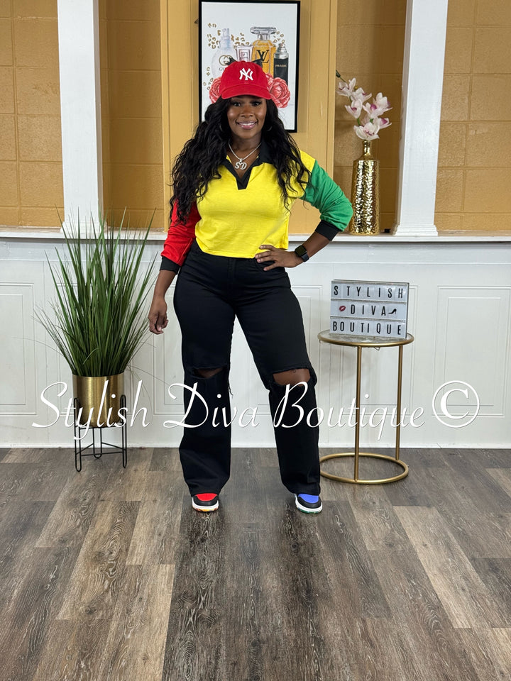 Color Code L/S Cropped Top (Multicolor)