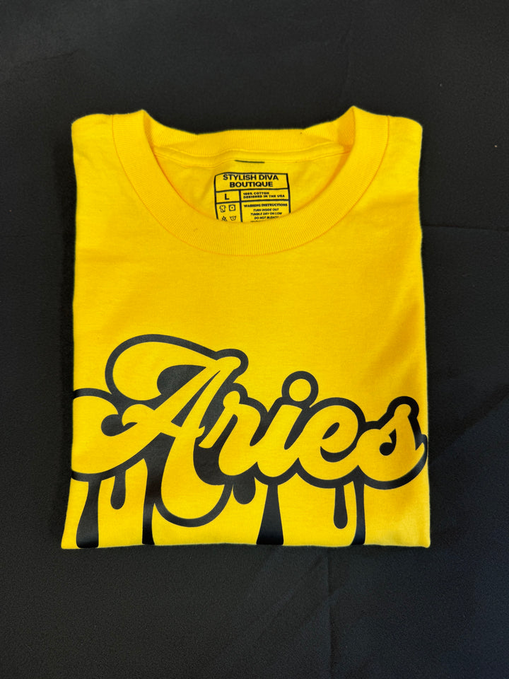 Aries Dripping T-Shirt (Black Print)
