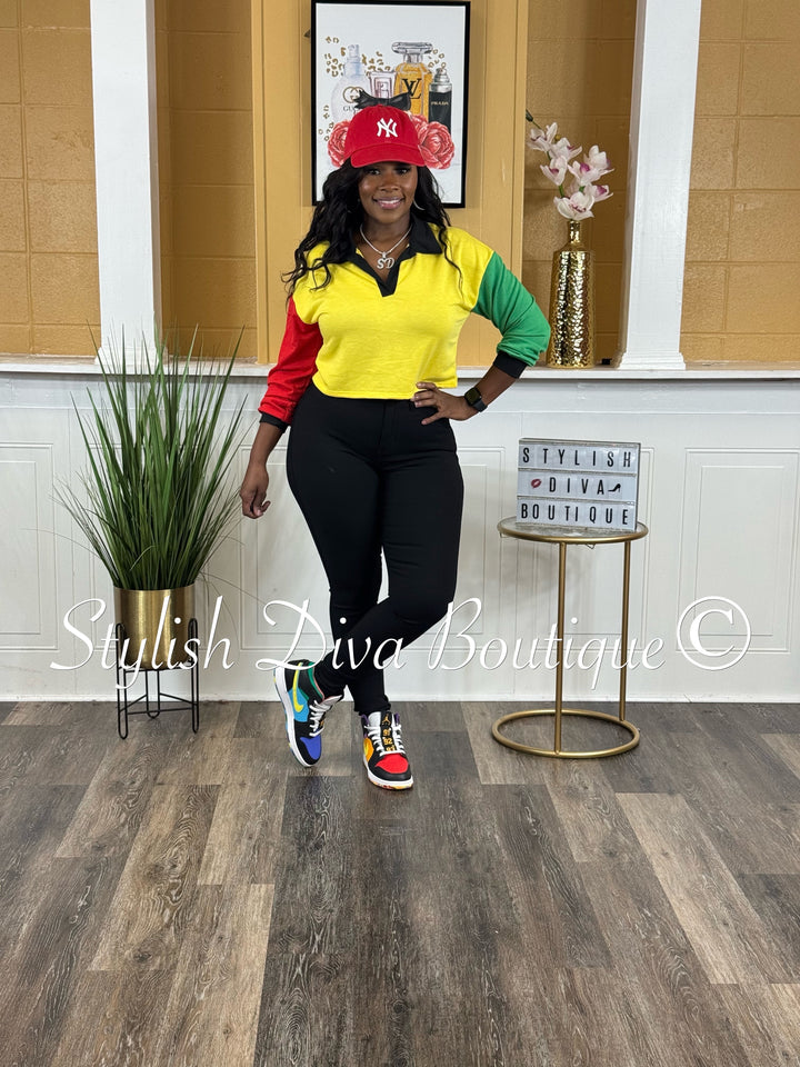 Color Code L/S Cropped Top (Multicolor)